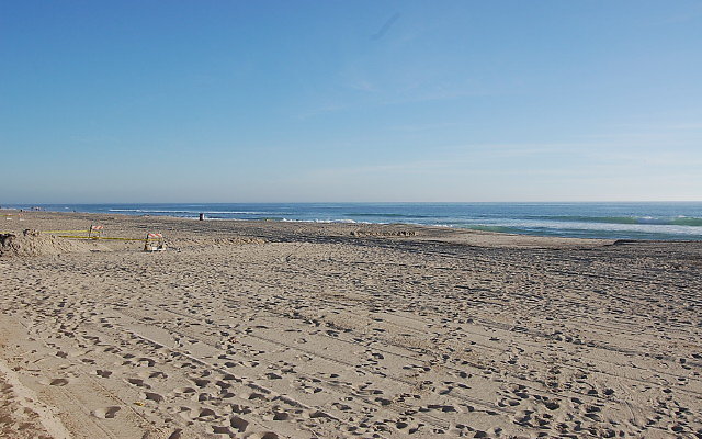 DSC 0552