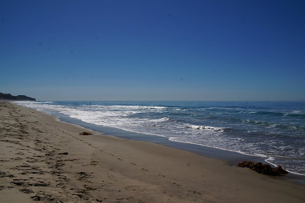 DSC03134