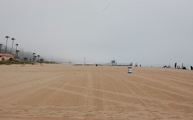 DSC 0025