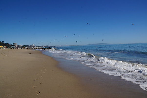 WIll Rogers.Beach.Towers.6.To.7.125 WIll Rogers.Beach.Towers.6.To.7.125