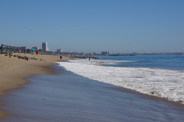 WIll Rogers.Beach.Towers.5.To.6.109