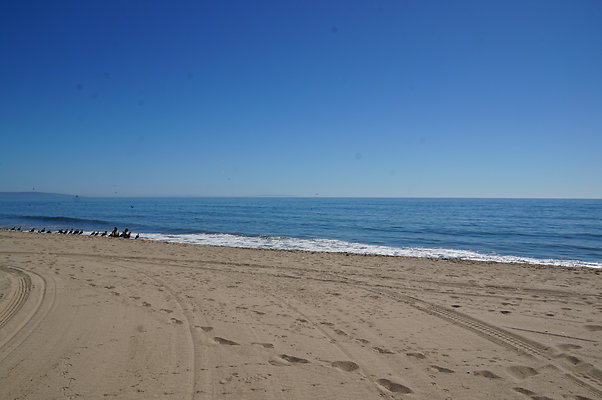 WIll Rogers.Beach.Towers.5.To.6.120