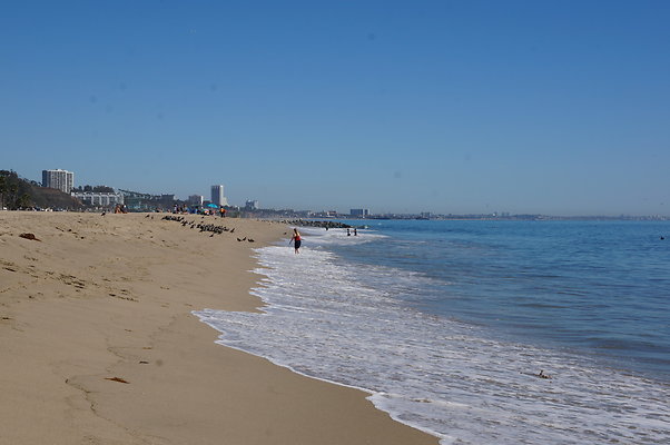 WIll Rogers.Beach.Towers.5.To.6.98