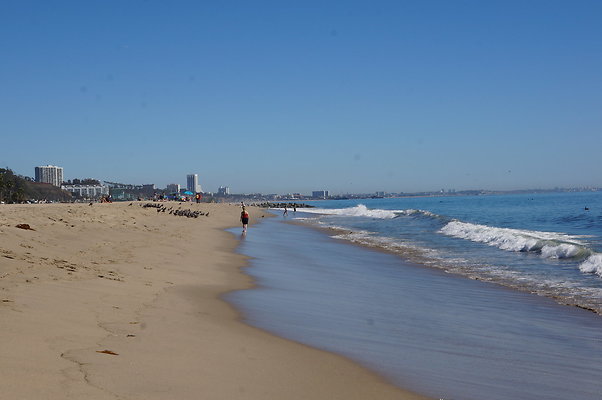 WIll Rogers.Beach.Towers.5.To.6.100