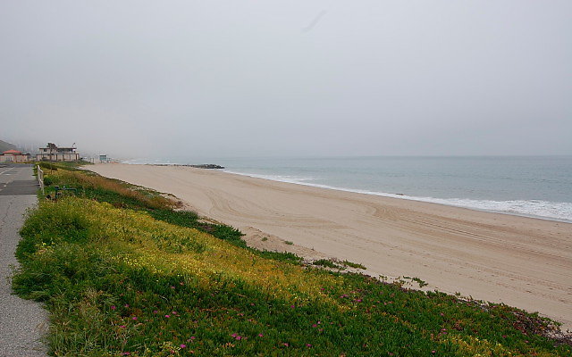 DSC 0046