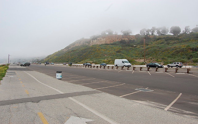 DSC 0049
