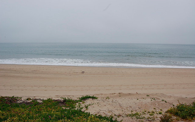 DSC 0047