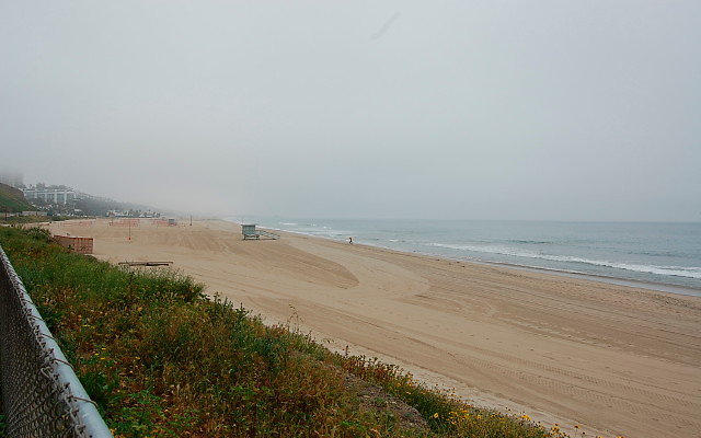 DSC 0054