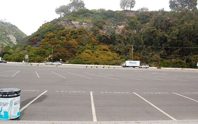 DSC 0061