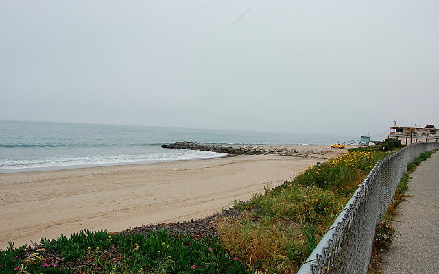 DSC 0056