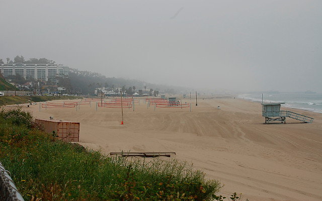 DSC 0056a