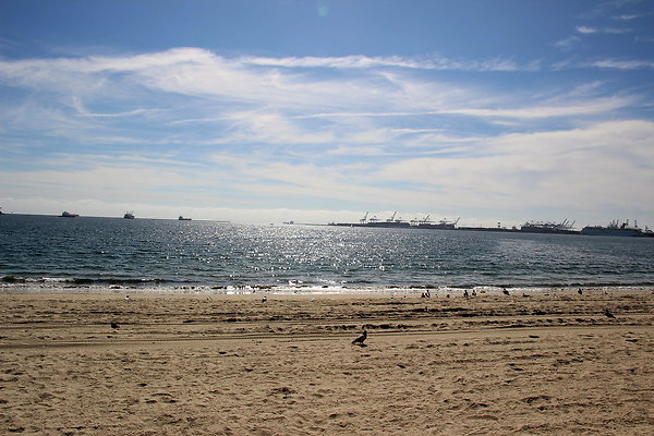 ByDaleD-ELH-2015-045 ByDaleD-ELH-2015-045