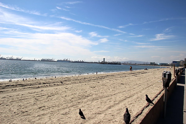 2-ByDaleD-ELH-2015-046 2-ByDaleD-ELH-2015-046