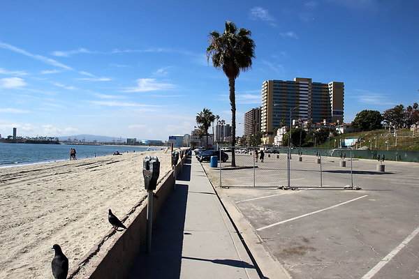 2-ByDaleD-ELH-2015-047 2-ByDaleD-ELH-2015-047