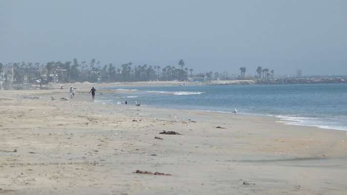 Beach-Granada Av-BelmShr lbch-21