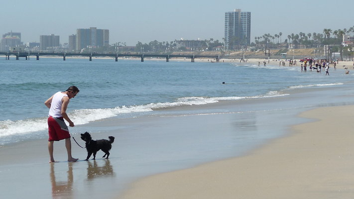 Beach-Granada Av-BelmShr lbch-22