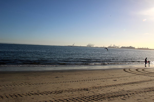 Beach-Junipero lbch-30