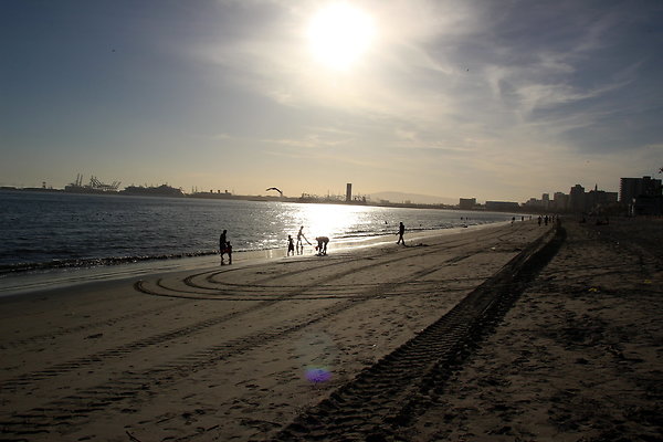 Beach-Junipero lbch-31