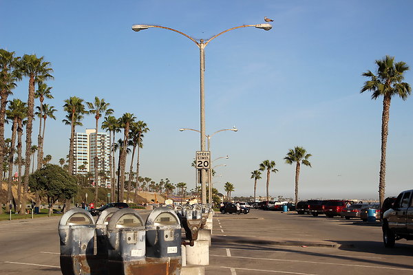 2-Beach-Junipero lbch-34