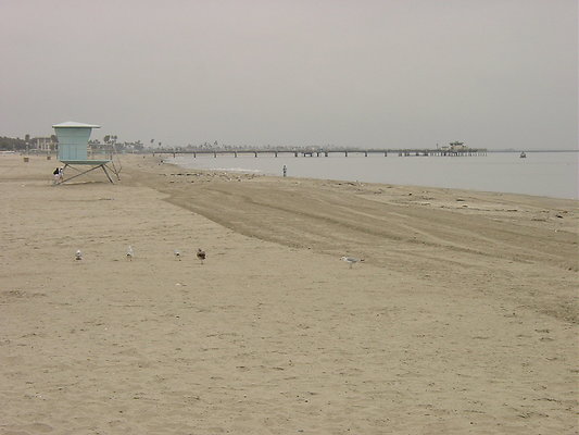 w-JuniperoBeach 060512 STST 012