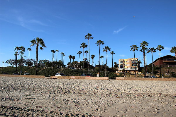 Beach-Junipero lbch-24