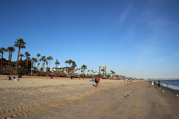 Beach-Junipero lbch-26