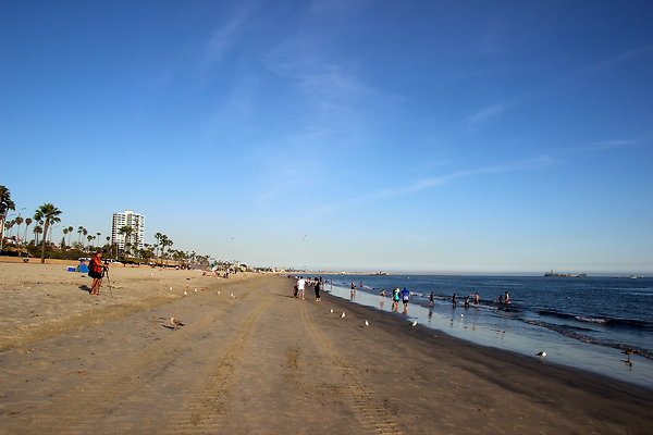 Beach-Junipero lbch-27