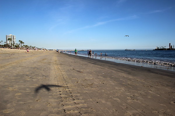 Beach-Junipero lbch-16