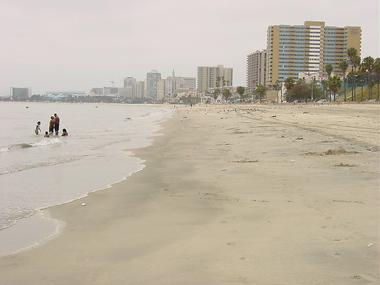 w-JuniperoBeach 060512 STST 003