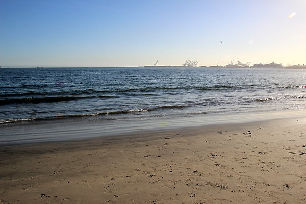 Beach-Junipero lbch-02