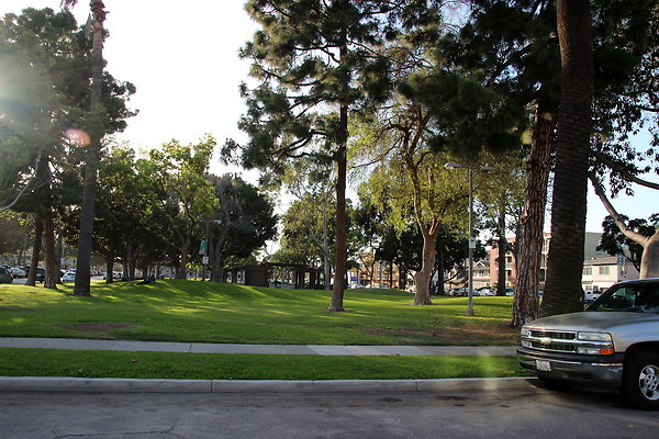 Beach-Junipero lbch-61