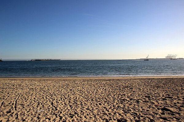 Beach-Junipero lbch-57