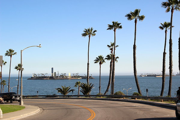 2-Beach-Junipero lbch-45