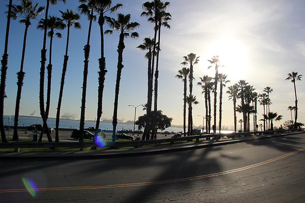 2-Beach-Junipero lbch-41