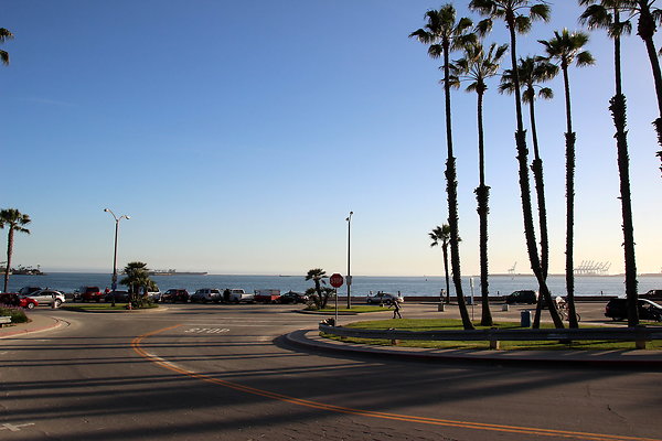 2-Beach-Junipero lbch-40