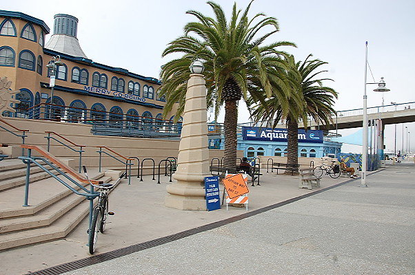 DSC 0009