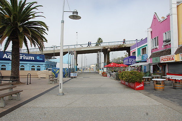 DSC 0015