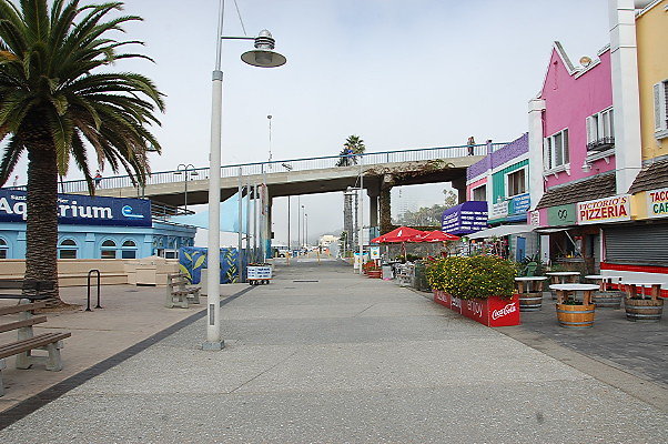 DSC 0017