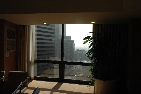 DSC 0499