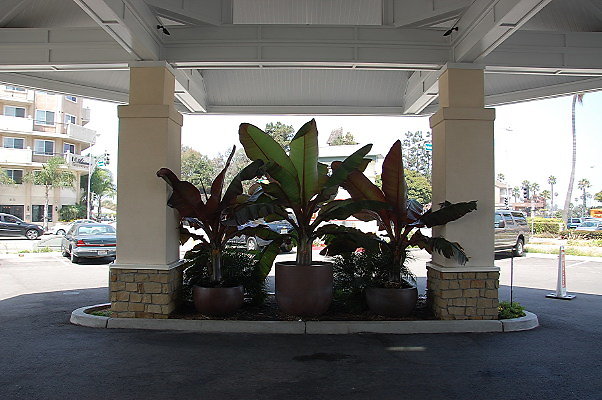 DSC 0072