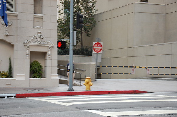 DSC 0061