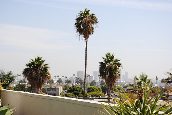DSC 0062