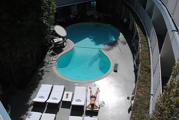 DSC 0031