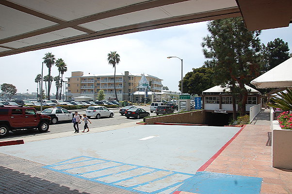 DSC 0008