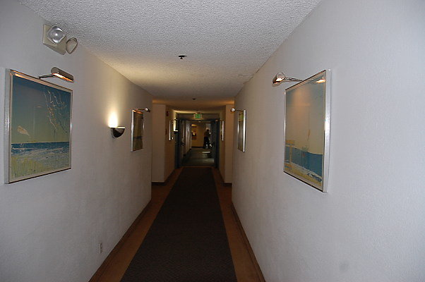 DSC 0034
