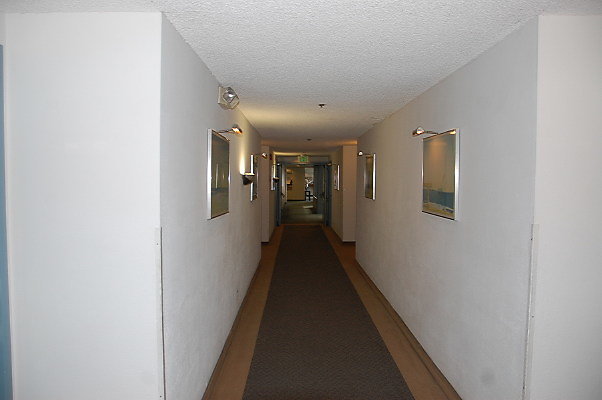 DSC 0055