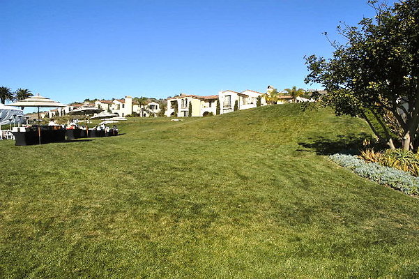 Palos Verdes Meadows .03