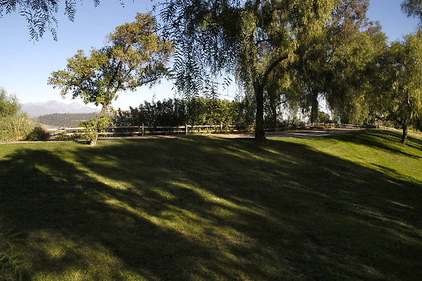 Ike Chip Putt.07 Ike Chip Putt.07