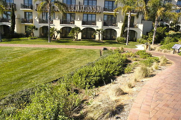 Ocean Lawn Grass Area.03