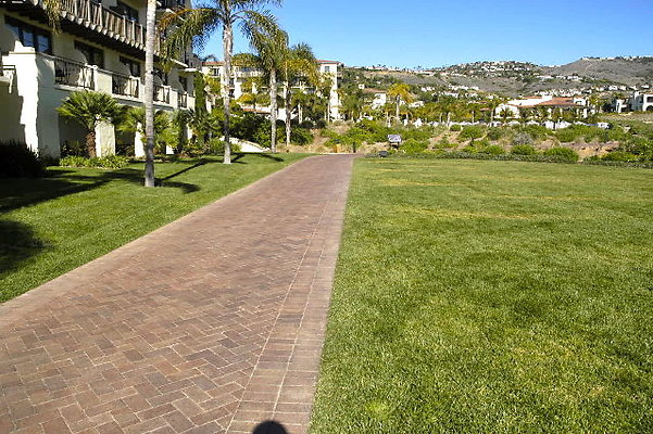 Ocean Lawn Grass Area.04